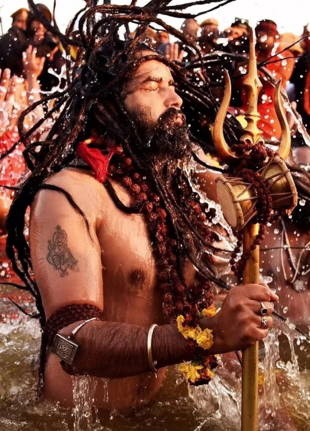 Luxury tent stay at the Kumbh Mela